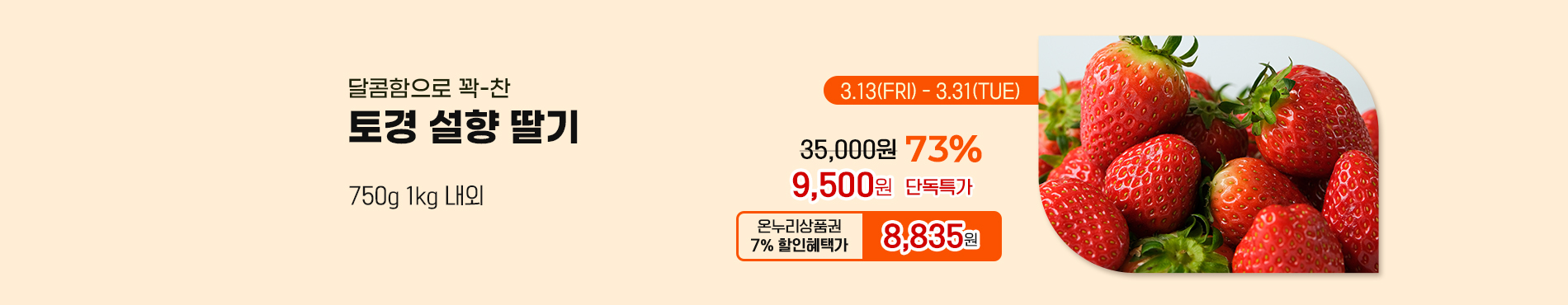 신선위크 3주차