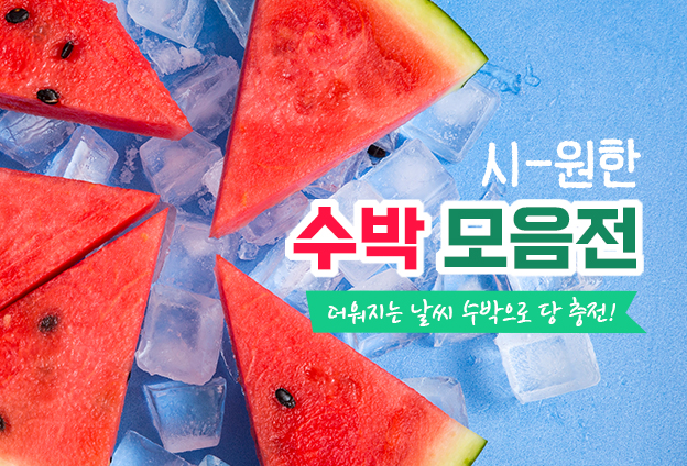 시원한 수박  모음전