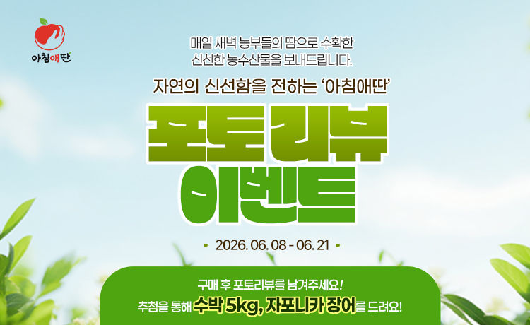 아침애딴