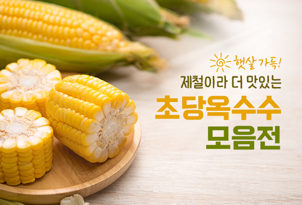 초당옥수수 모음전 