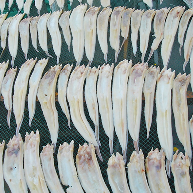 어촌직송 바다담은 반건조 장어 실중량 200g/500g