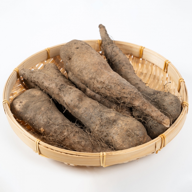 산지직배송 안동 산마/장마 1kg