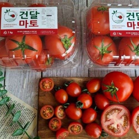 [갑봉이네]스테비아 고당도 방울토마토 1kg/2kg
