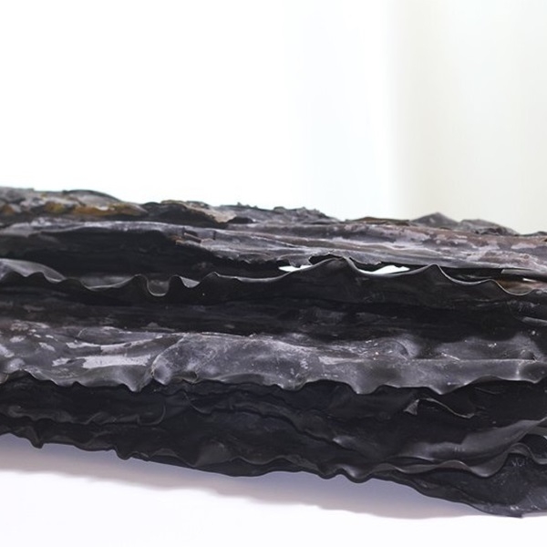 ★신선위크★ 세계로수산 완도산 건다시마 500g/1kg