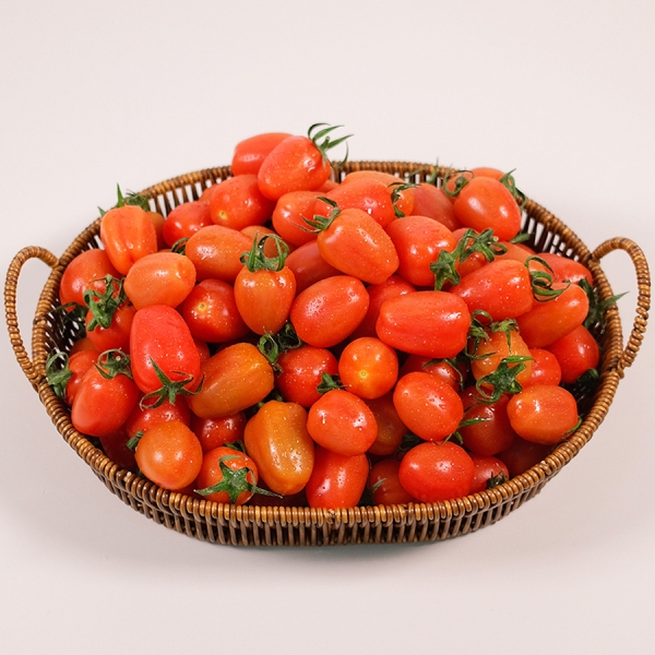 ★신선위크★ [유수담] 신선 대추방울토마토 2kg 5kg 1-3번과 산지직송