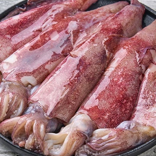 [산앤들]부드러운 총알 한치 500g