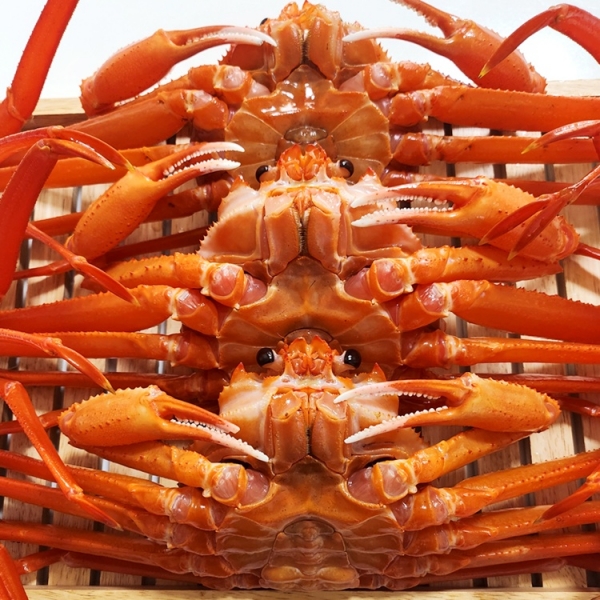 [산앤들]후포리 최상급 홍게 2kg (5-8미)