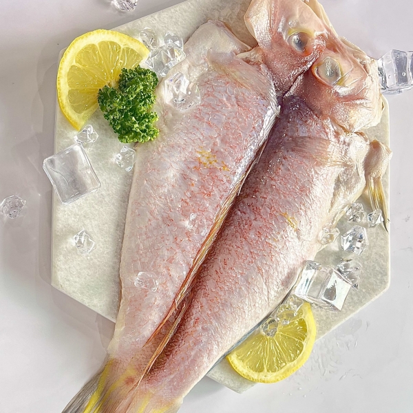 [제주수산]제주 참옥돔 (250g-400g) 3~4마리