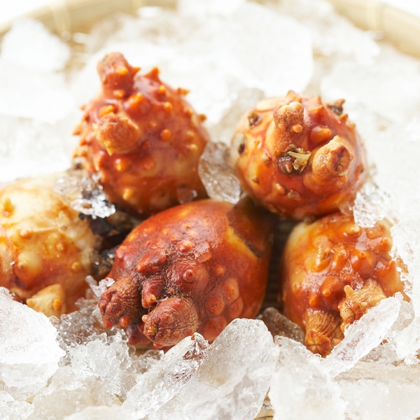 ★주말특가★ [아침애딴] 가성비 활 멍게 3kg 6kg 9kg/중사이즈 1kg/대사이즈 1kg/깐멍게500g 골라담기 