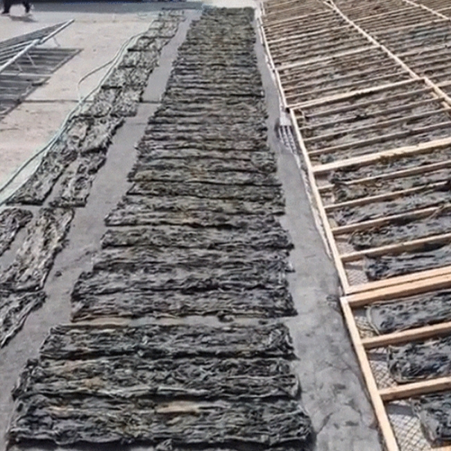 어촌직송 신선한 견내량 갯바람 돌미역 100g