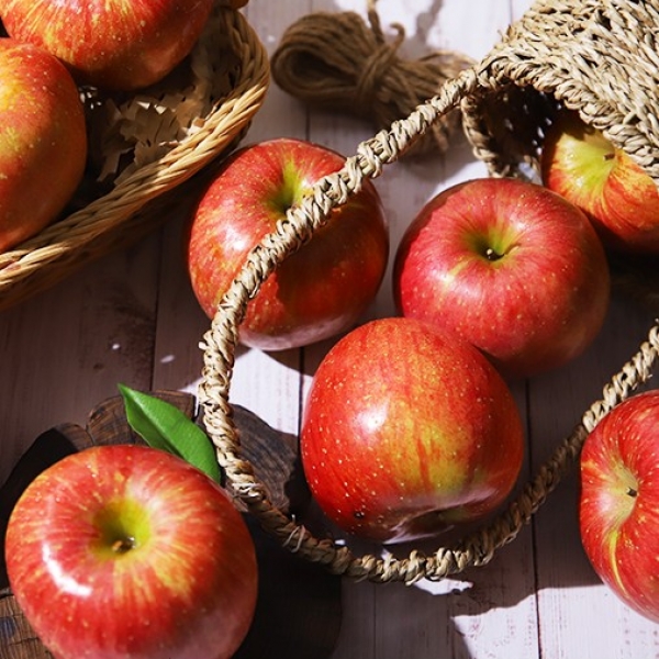 [숙희장터] 경북사과 꿀사과 최상급 가정용 부사사과 2kg 3kg 5kg 10kg