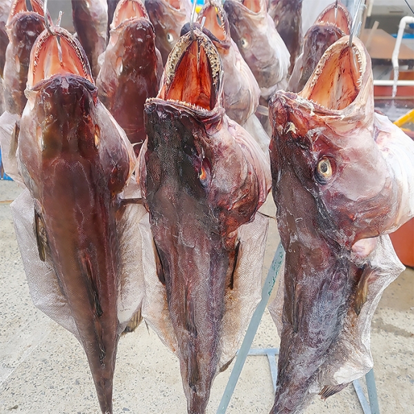 어촌직송 해풍 담은 반건조 손질대구 (380g-450g)