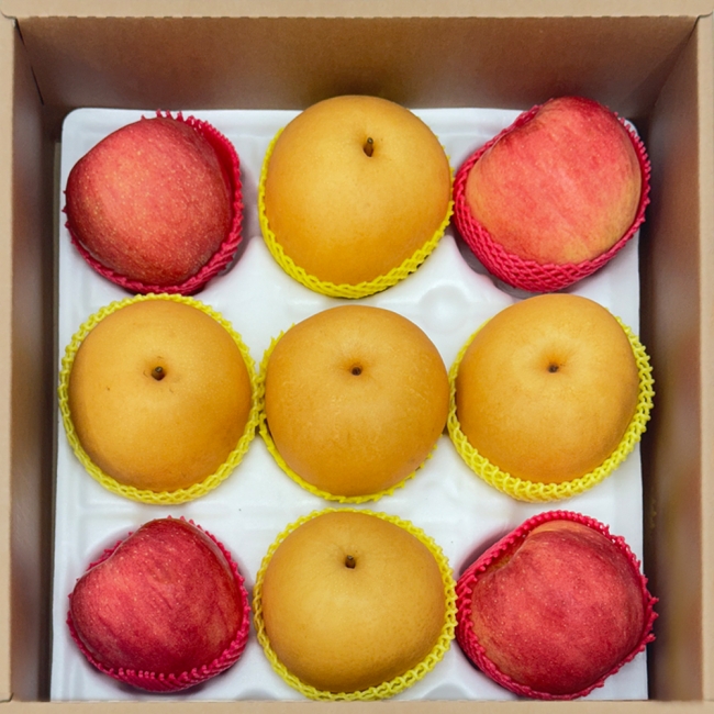 산지직배송 프리미엄 저탄소 과일선물세트