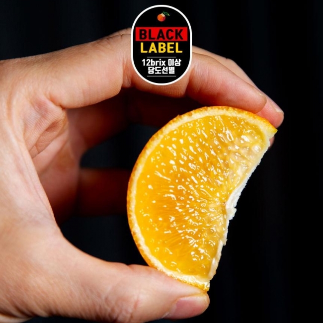[푸른농원]블랙라벨 타이백 감귤3kg/4.5kg로얄과/프리미엄소과