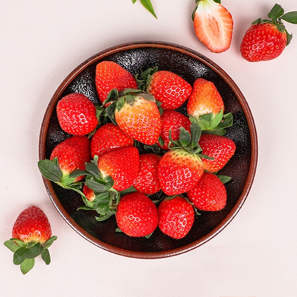 [아침애딴] 논산 설향 딸기 350g 700g 중사이즈 상품 특품 출고 일정 확인 필수