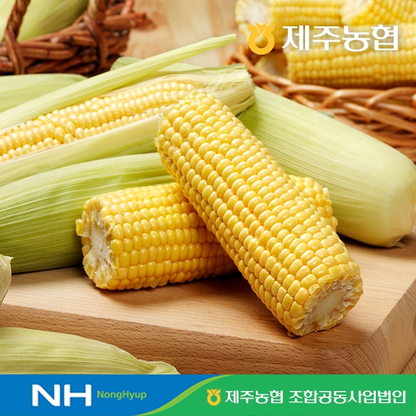 제주농협 정품 특품 초당옥수수(국산)  3kg/ 6kg 