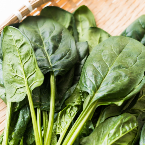 봄철 영양가득 국내산 시금치 [500g / 1kg/ 2kg /3kg]