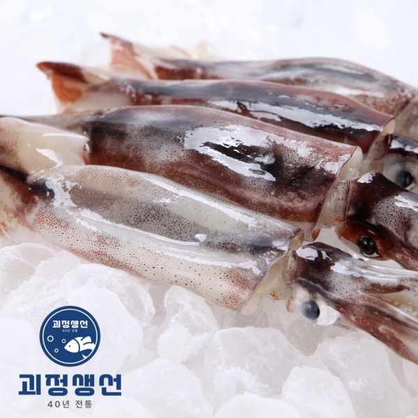 괴정생선 원양산 손질오징어 4마리/8마리
