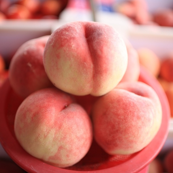 (농할) [숙희장터] (국내산) 고당도  백도 복숭아 1kg,2kg,4kg