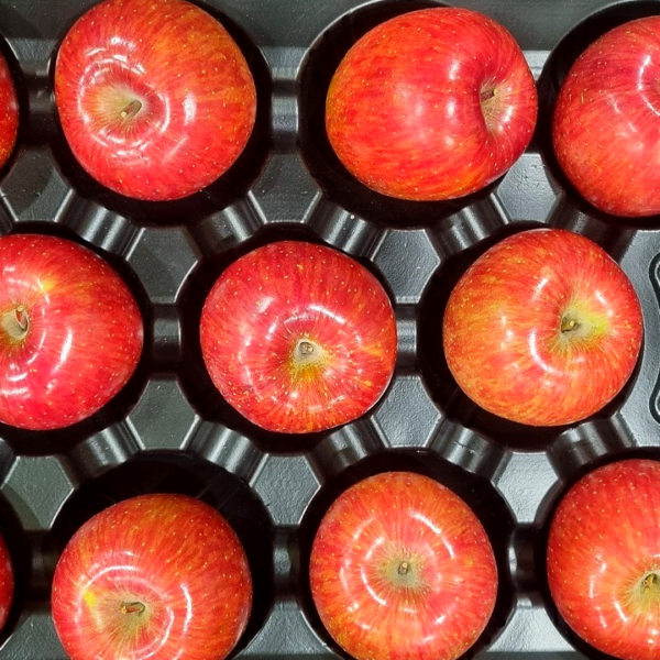 14brix 고당도 부사 사과 1.4kg, 2kg, 4kg/정품,선물세트