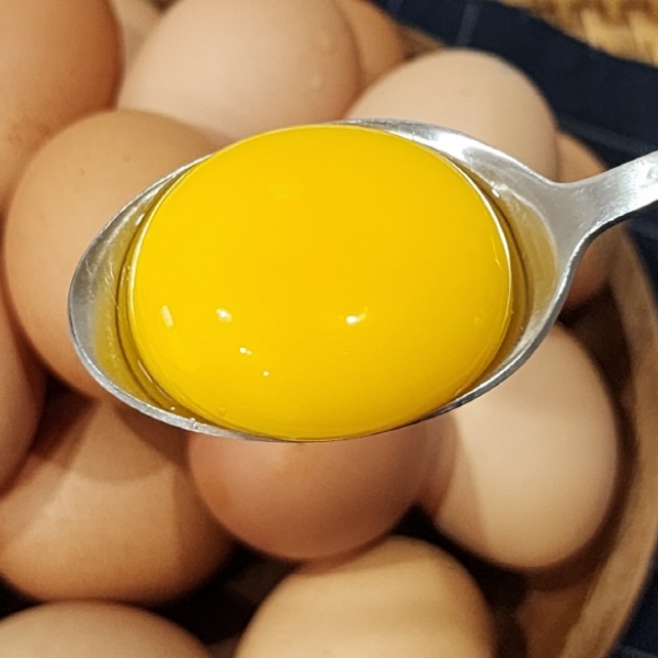 건강한 닭이나은 [유정란] 자연방사 난각 1번 유정란 /동물복지 난각 2번 (20구/40구/60구/80구)