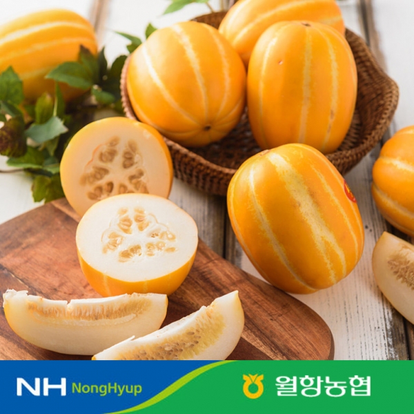 [산지직송] 월항농협 성주참외 당도보장 12brix 이상 골라담기(2kg, 3kg, 5kg, 10kg)