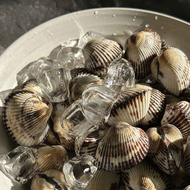 산지직배송 국내산 새꼬막 3kg/6kg