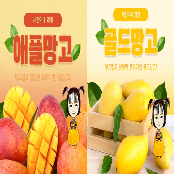 [착한가격] 세진이네 과일 무지개 망고 로얄과 5kg 10~12과 