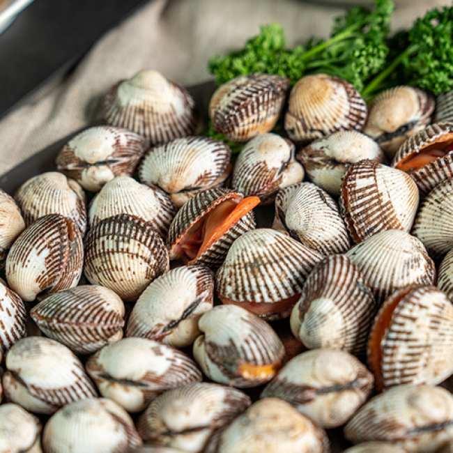 어촌직송 새꼬막 1kg 소/중/상/대