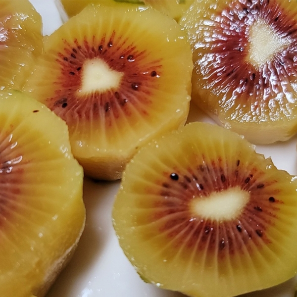 산지직배송 제주도 레드키위 2kg/3kg/5kg