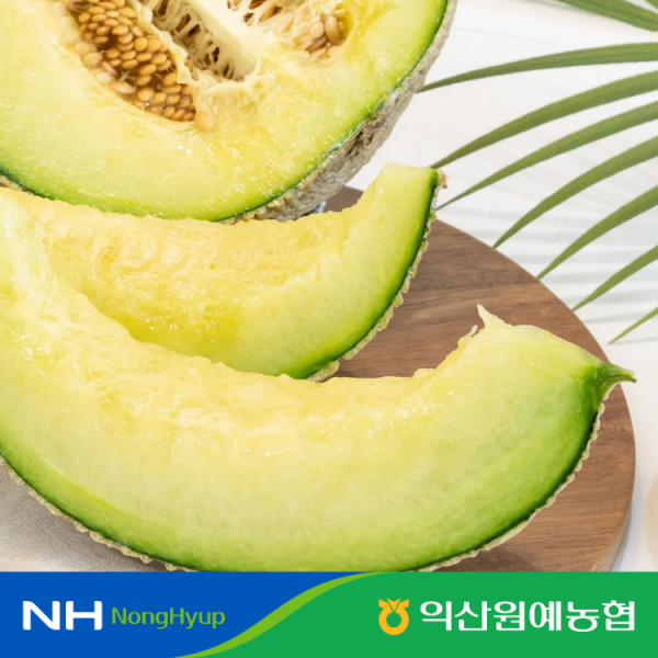 (농할) [익산원예농협] 국내산 고당도 머스크메론 3.2kg 4kg 8kg