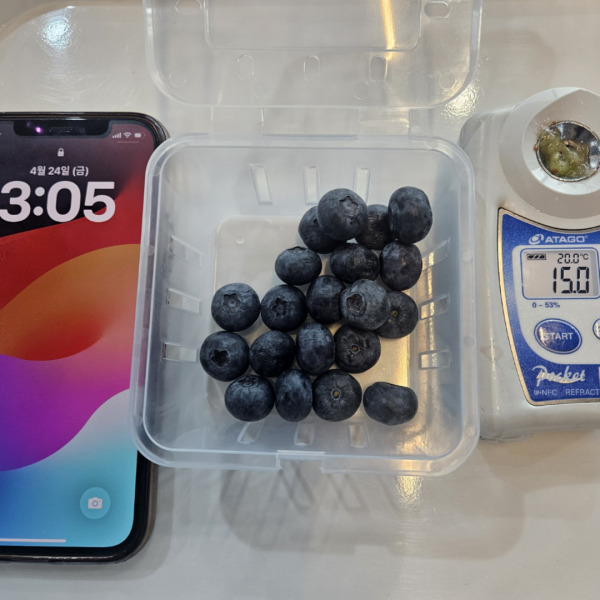 ★리뷰이벤트★ 국산 생 블루베리 13브릭스 고당도 프리미엄 유기농/무농약 신틸라 400g 600g 1kg