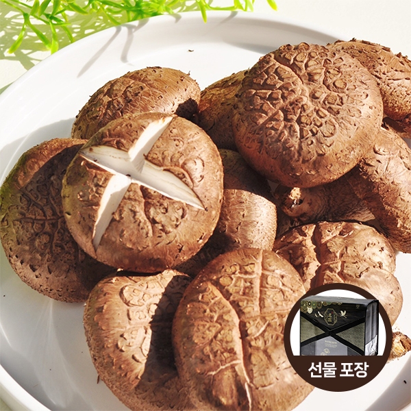[푸른농원]생표고버섯 화고/선물세트 (2kg/4kg)