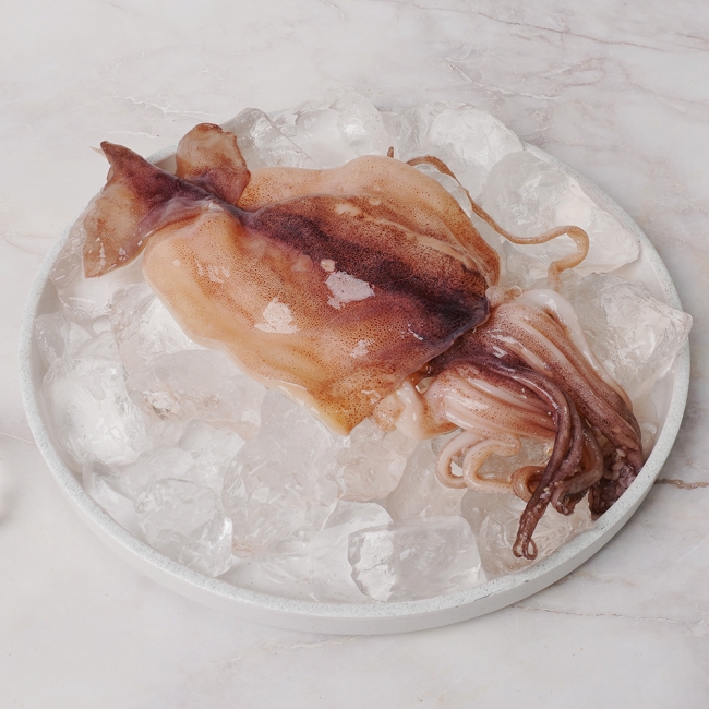 산지직배송 손질오징어 500g 내외