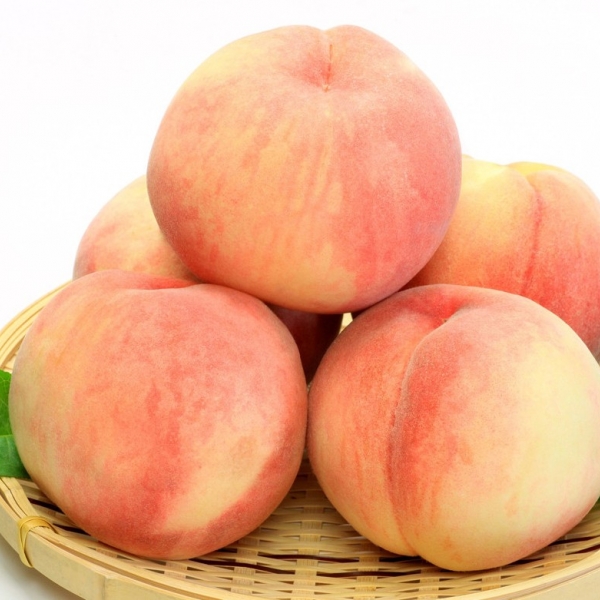 (농할) 국내산 /복숭아 /대극천 복숭아/ 2kg 3kg 5kg