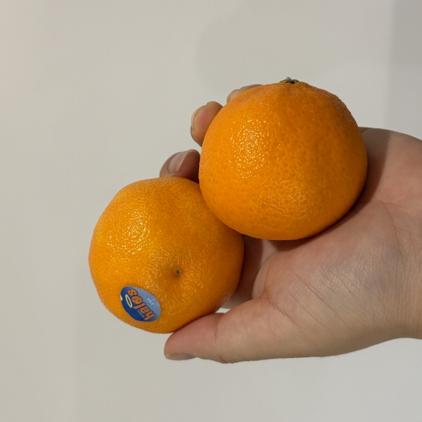 ★신선위크★ 고당도 프리미엄 감귤 만다린귤 [1kg/2kg/3kg/5kg]