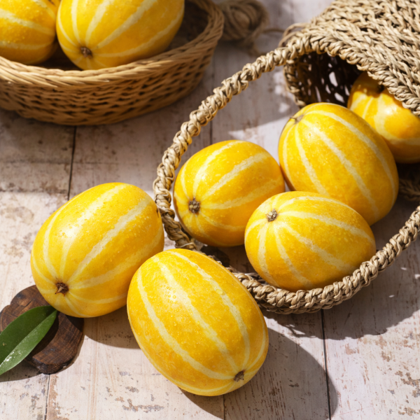 ★신선위크★ [숙희장터] 성주참외 고당도 정품 로얄과 2/3/5kg