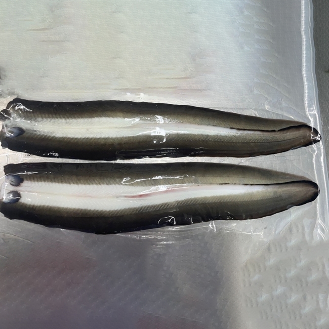 산지직배송 고창 자포니카 민물장어 1kg (손질후 700g)