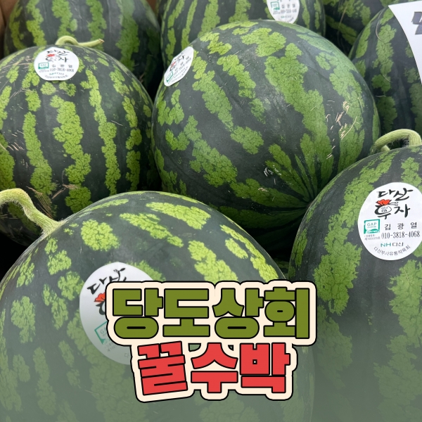 [14브릭스 보장] 당도상회 국내산 산지직송 고당도 하우스 꿀수박 6-7kg