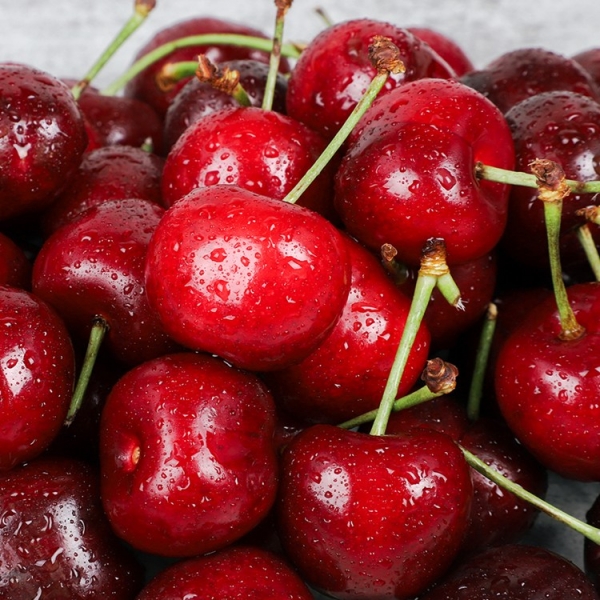 [청년농가]새콤달콤 칠레 생 체리(대과) 500g/1kg/2kg