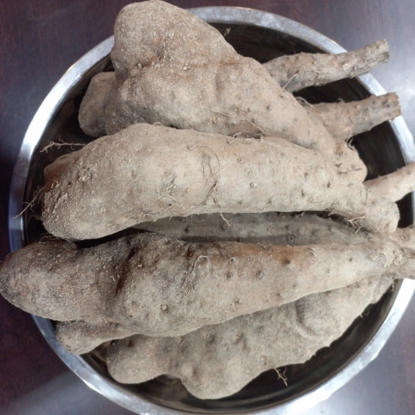 ★신선위크★ [숙희장터] 안동산마 깍기 수월한 실속형 1/2/3/5kg