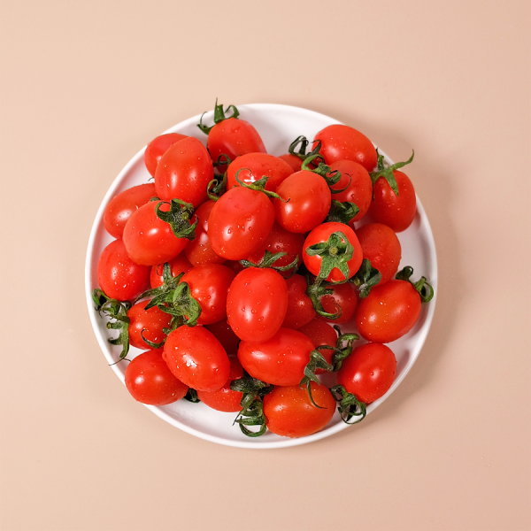 [유수담] 달콤하고 신선한 스테비아 토마토 1kg 2kg