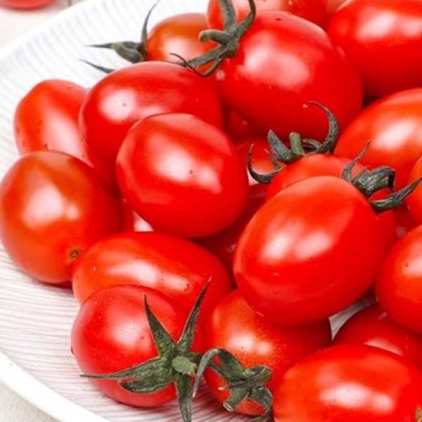 [청년농가]스테비아 방울토마토 500g/1kg/2kg