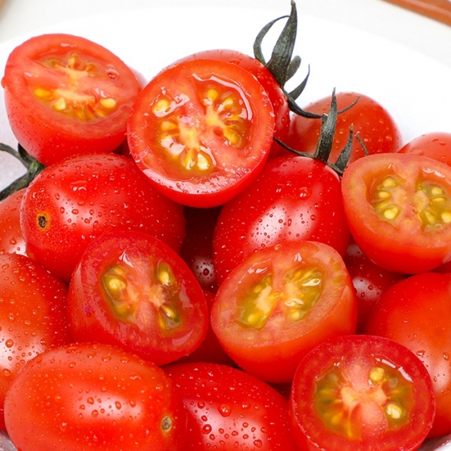 [청년농가]스테비아 방울토마토 500g/1kg/2kg