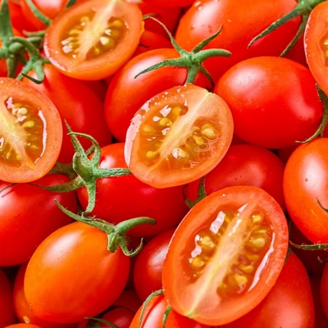 [청년농가]새콤달콤 대추방울토마토 로얄과 2kg