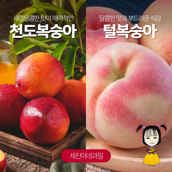 (농할 국내산) [세진이네 과일]   달콤 털복숭아/ 아삭 아삭~ 딱복 4kg