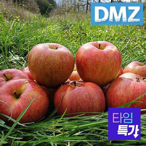 ★타임세일★ [첫출하/DMZ 철원사과] 고당도 철원사과 부사 3kg [소과/중과/대과]