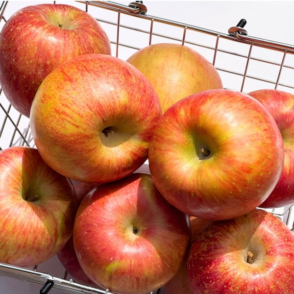 ★리뷰이벤트★ 사과 부사사과 가정용 완벽검수 중과 대과 골라담기