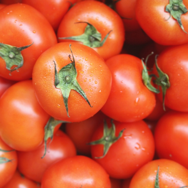 산지직배송 고당도 완숙토마토 2kg/3kg/5kg