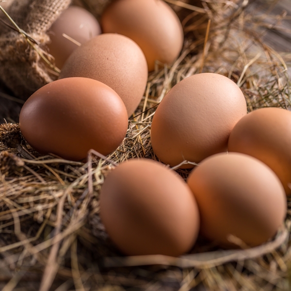 ★신선위크★ [원천오복] 자연방사 1번난각 동물복지 2번난각 신선 계란 20구 30구 40구 60구